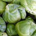 info-125-125 Brussels Sprouts