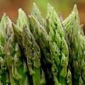info-125-125 Asparagus
