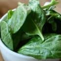 info-125-125 A Bowl of Spinach
