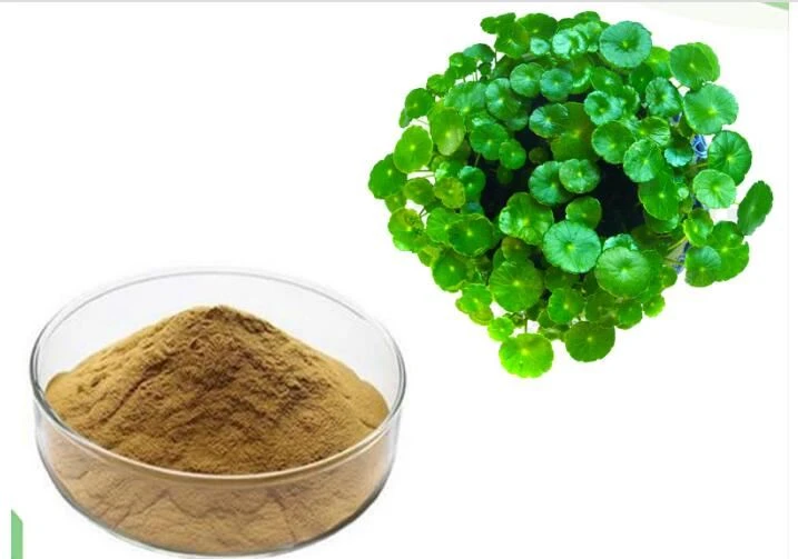 Centella Extract-1 Centella Extract-1