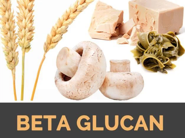 Oat Beta Glucan Benefits Oat Beta Glucan Benefits
