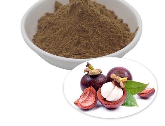 mangosteen fruit extract mangosteen fruit extract