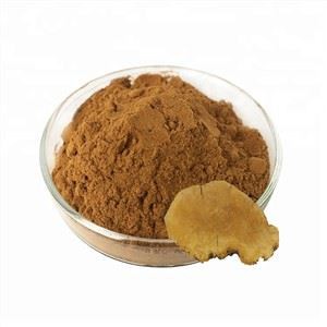 สารสกัดจาก Phellinus Igniarius