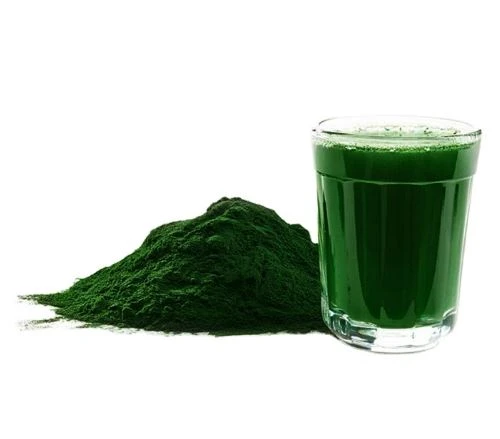 Chlorella Vulgaris Powder