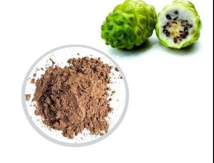 ผงโมรินดา