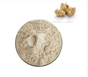 ผงราก Chicory