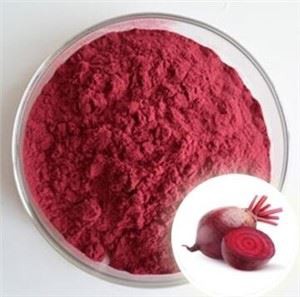 ผงบีทรูทแห้งแช่แข็ง