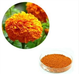 ลูทีน เอสเตอร์