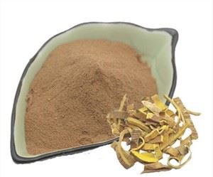 สารสกัดจากเปลือกไม้ Phellodendron Amurense สําหรับผิว