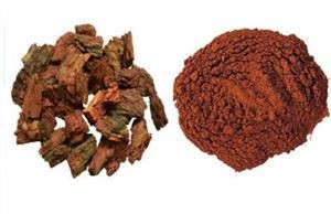 สารสกัดจากเปลือกสน