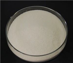 ขาย Huperzine A