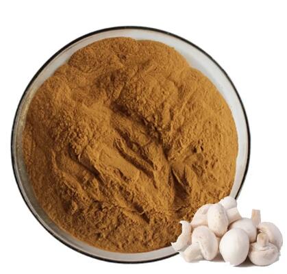 สารสกัดจากผลไม้ Agaricus Bisporus