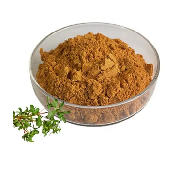 สารสกัด Brahmi Bacopa Monnieri