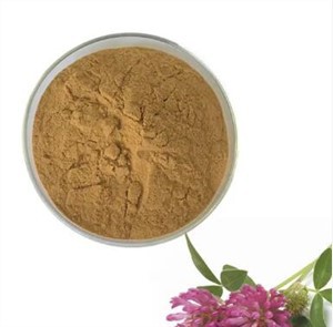 ผงโคลเวอร์แดง